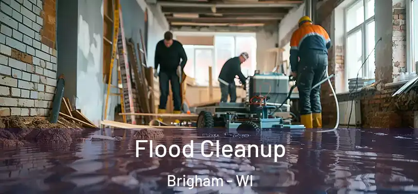  Flood Cleanup Brigham - WI