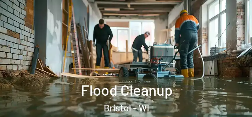  Flood Cleanup Bristol - WI
