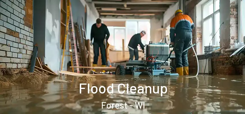  Flood Cleanup Forest - WI