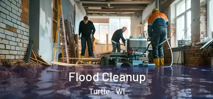  Flood Cleanup Turtle - WI
