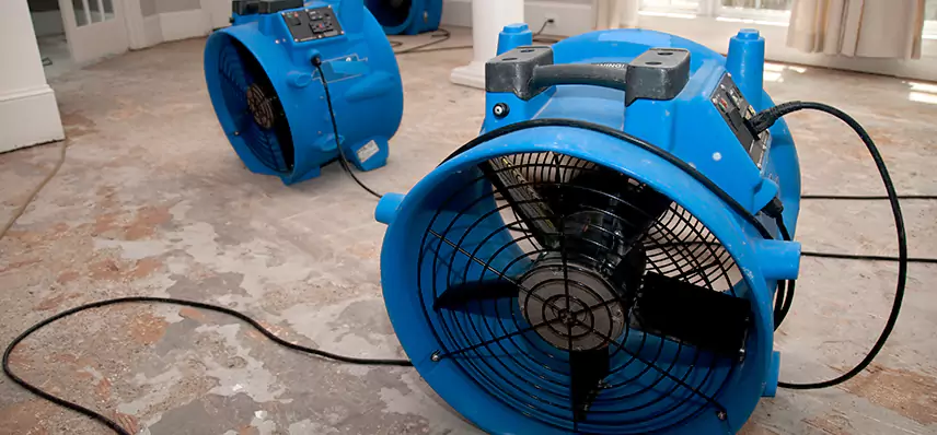 Water Leak Mitigation in Rochester