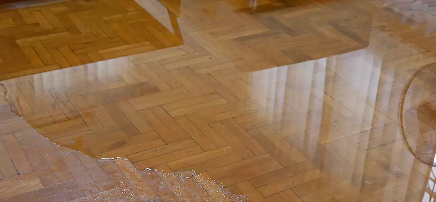 Laminate Wood Floor Water Damage Repair in Rochester