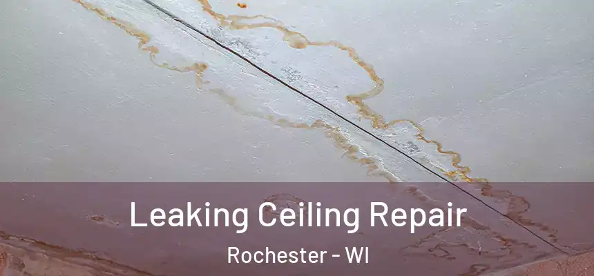  Leaking Ceiling Repair Rochester - WI