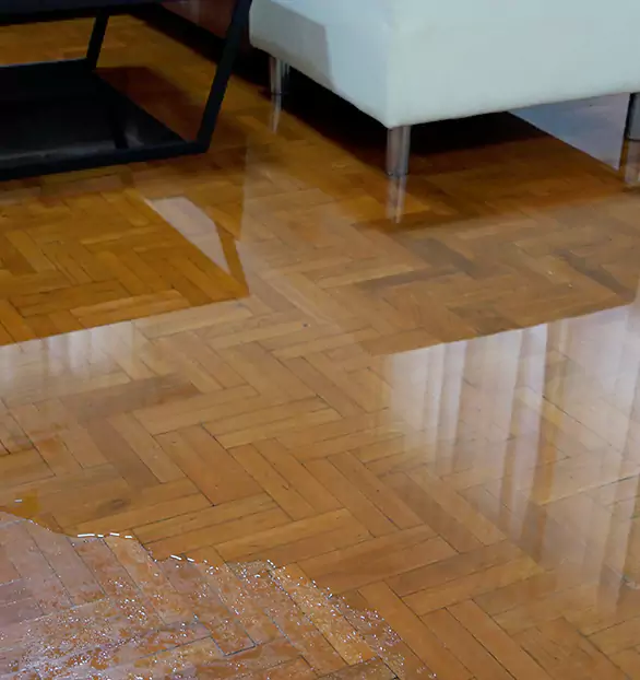 Trusted Emergency Water Restoration Company in Rochester, WI