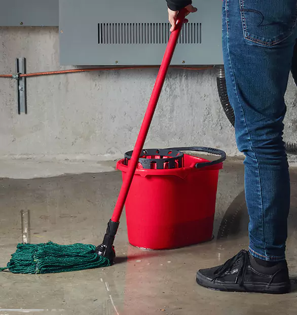 Trusted Sewage Cleanup Company in Rochester, WI