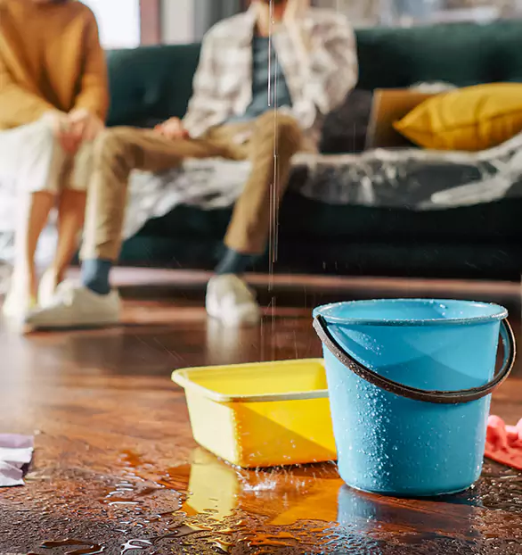 Trusted Water Remediation Company in Rochester, WI