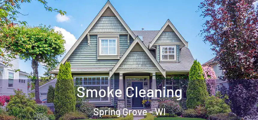 Smoke Cleaning Spring Grove - WI