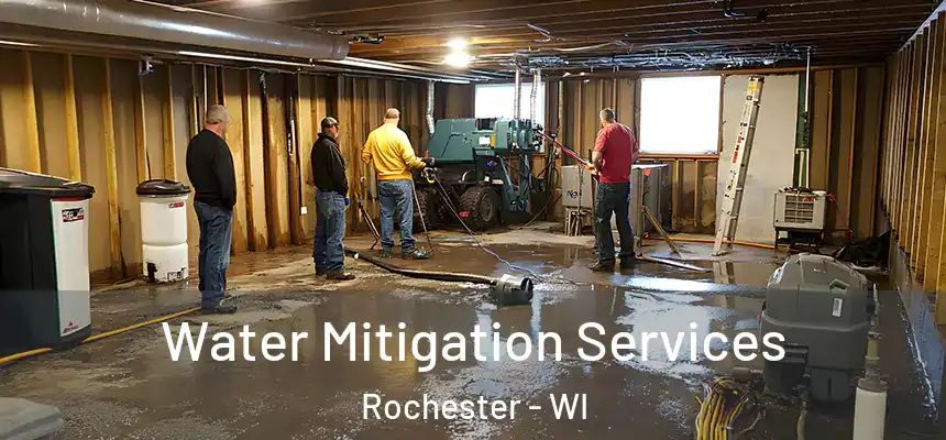  Water Mitigation Services Rochester - WI